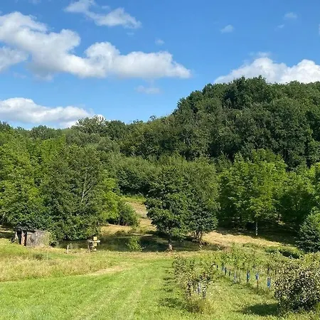 Du Peyrounet. Deconnexion En Pleine Nature ! Ferienhaus